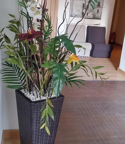 Гостевой дом Hernan Cortes Касерес